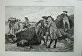 Original Old Antique Print 1886 Conchologists Men Uniform Sea Rocks Fine Art