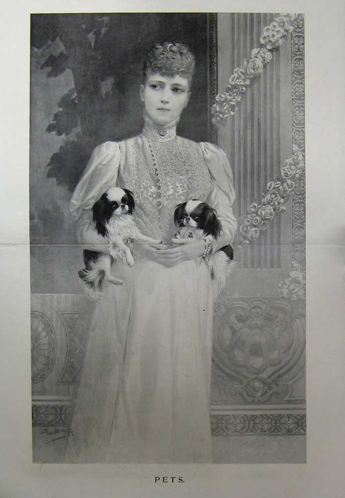 Original Old Antique Print 1896 Beautiful Woman Puppy Dogs Pets 19th