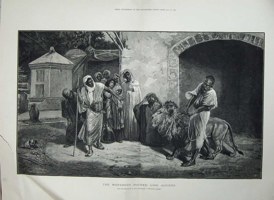 Antique Old Print 1883 Marabout Sacred Lion Algiers Natives Pavy Fine Art 19th