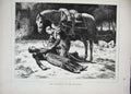 Original Old Antique Print 1870 Dead Sier Horse War Army Trees 19th