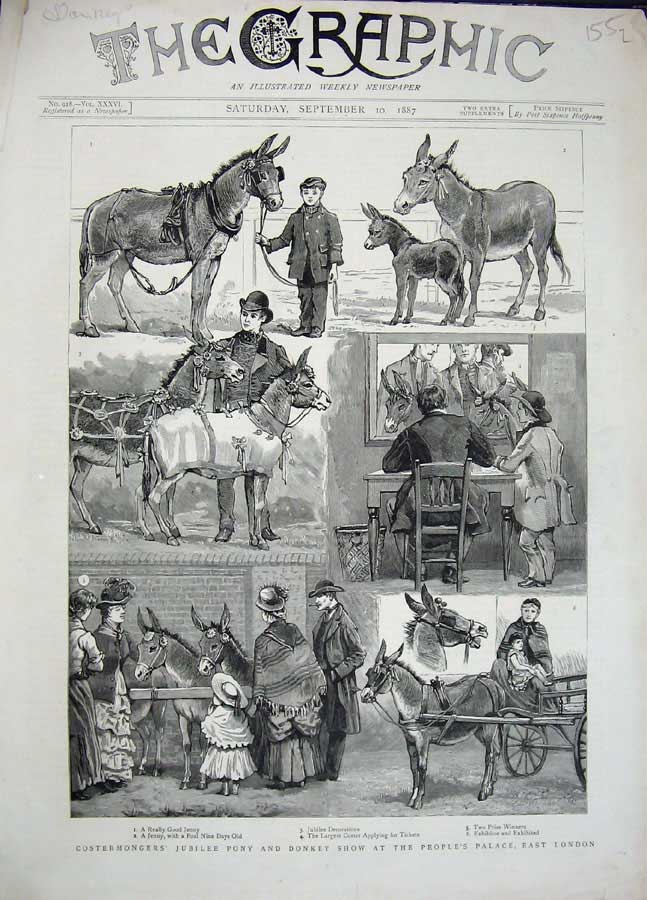 Original Old Antique Print 1887 Jubille Pony Donkey Show London People'S Palace
