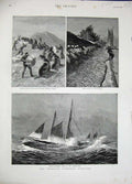 Old Antique Print 1890 American Fishing Schooner Shad Potomac Seals Art 19th