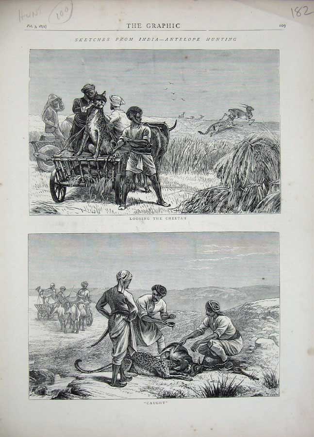 Old Antique Print 1872 India Antelope Hunting Cheetah Sport Cart Country 19th