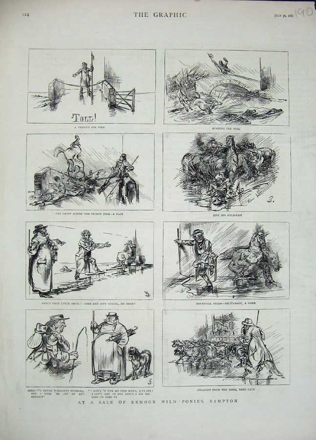 Original Old Antique Print 1881 Sale Exmoor Wild Ponies Bampton Colt Horse 19th