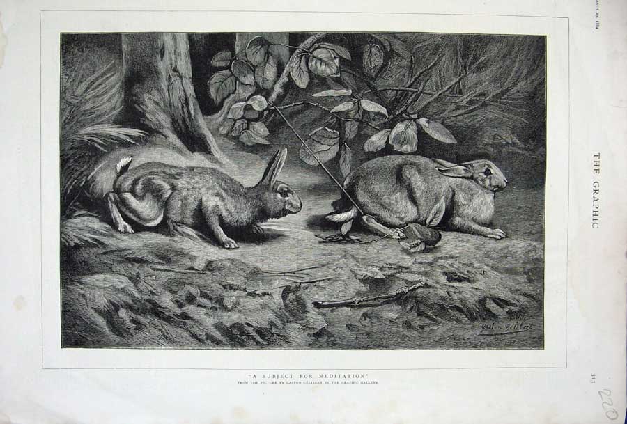 Original Old Antique Print 1884 Gelibert Fine Art Rabbits Trapped Hare Country