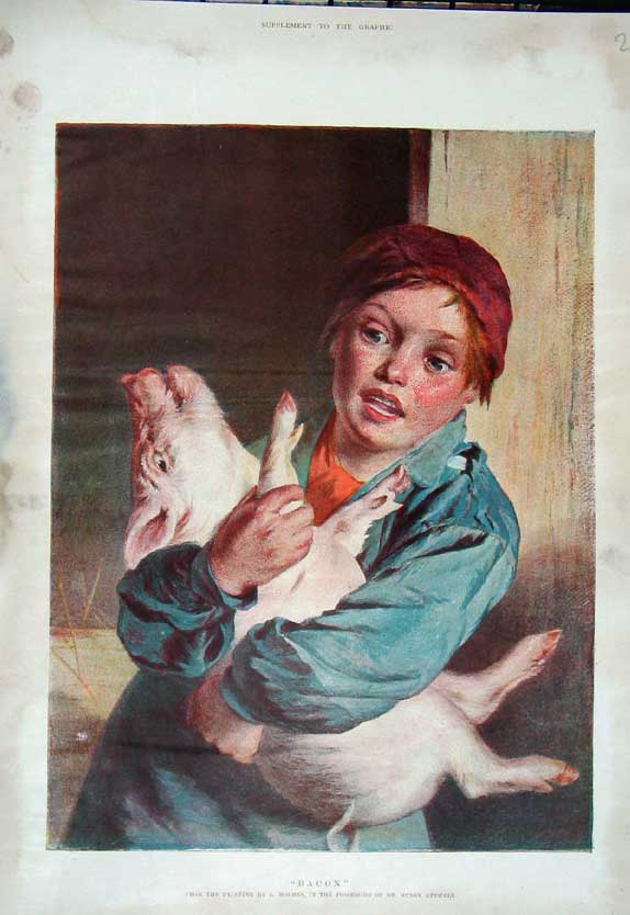 Original Old Antique Print Colour Young Boy Pig Piglet Farm Animal Attwell