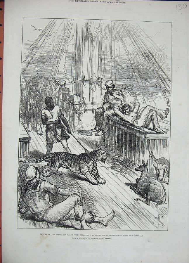 Old Antique Print 1876 Prince Wales India Ship Serapis Tiger Cheetals Men 19th