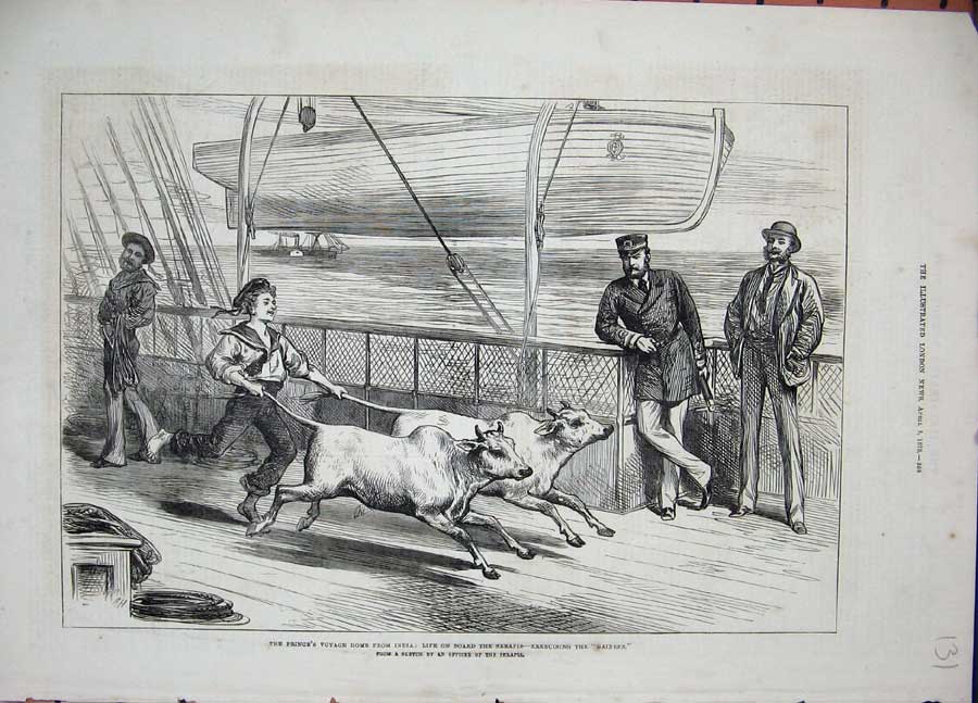 Original Old Antique Print Prine Voyage India 1876 Serapis Ship Gainees Animals