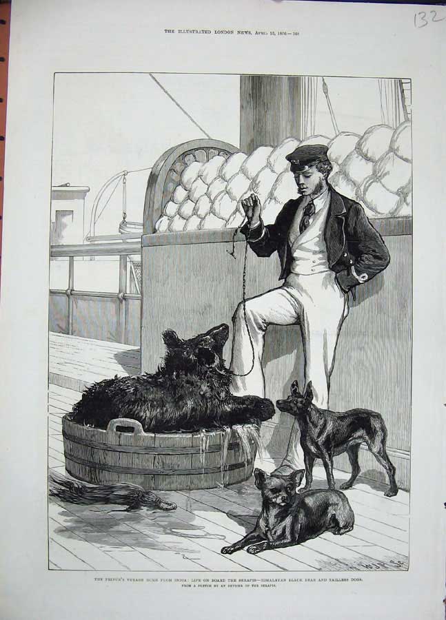 Original Old Antique Print 1876 Prince Voyage India Serapis Ship Black Bear Dog