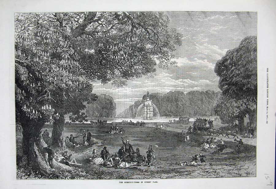 Original Old Antique Print 1871 Chestnut Trees Bushey Park Fountain Lake Horses