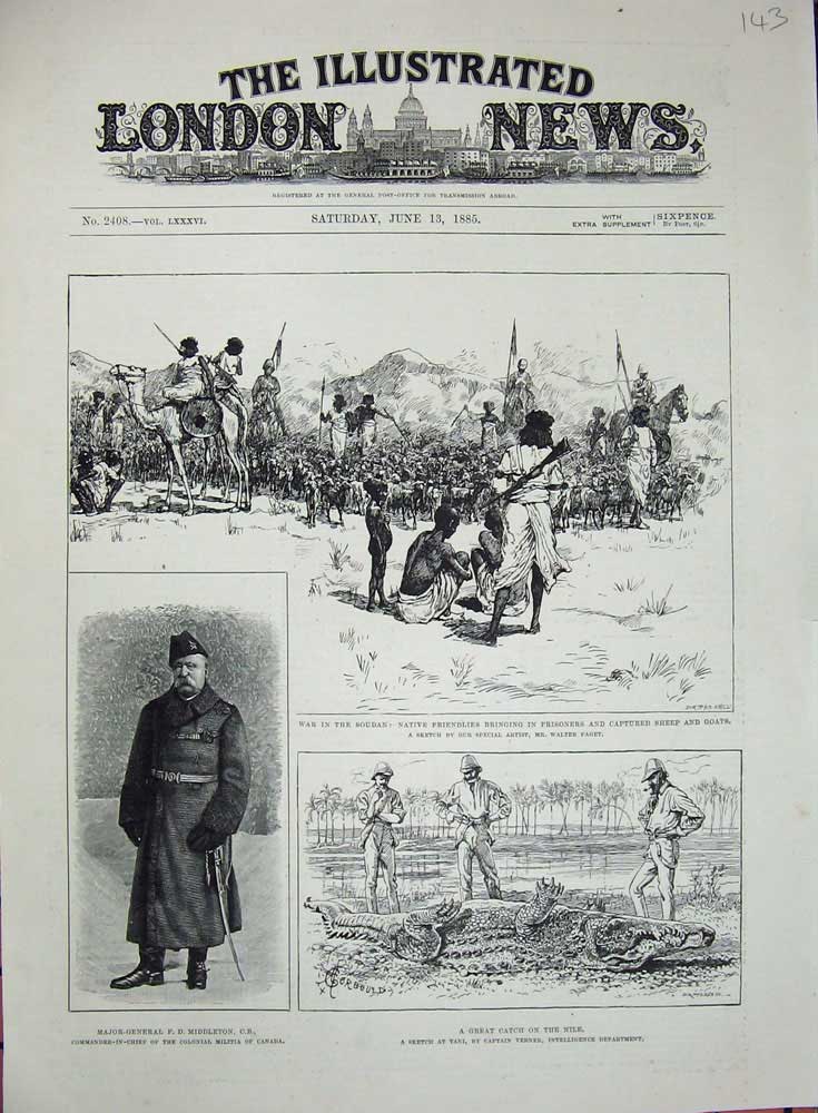 Original Old Antique Print War Soudan 1885 Sheep Goats Middleton Crocodile Nile