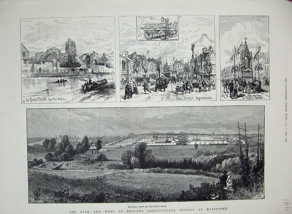 Old Antique Print 1884 Bath England Agricultural Society Maidstone Show 19th