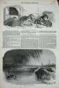 Old Antique Print 1852 Burst Reservoir Bury Fancy Rabbit Club Show Pets 19th