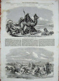 Original Old Antique Print 1858 Isthmus Suez Egypt Camels Coaches Horses 19th