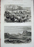 Antique Old Print *0283 1880 Basuto War Africa Cattle Thaba Bosigo Masupha