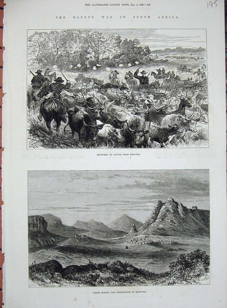 Antique Old Print *0283 1880 Basuto War Africa Cattle Thaba Bosigo Masupha