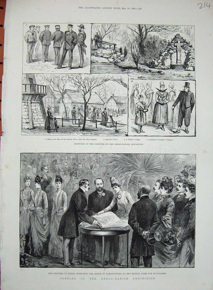 Old Antique Print 1888 Anglo-Danish Exhibition Princess Wales Incurables 19th