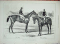 Original Old Antique Print 1879 Derby Oaks Race Horse Winners Sir Bevys Fortune