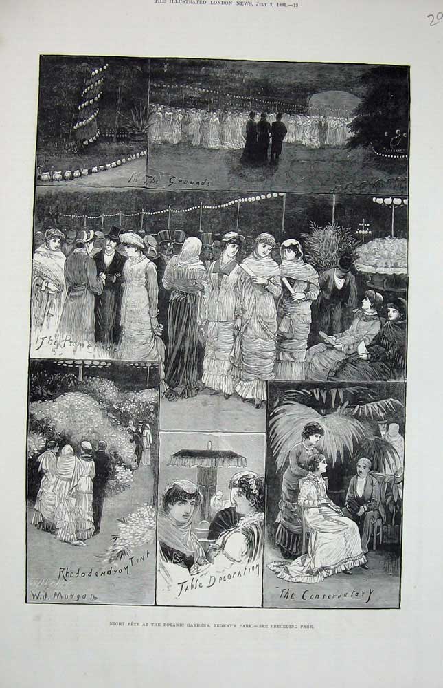 Original Old Antique Print 1881 Night Fete Botanic Gardens Regent'S Park London