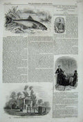 Original Old Antique Print 1846 Barbel Fish Angling Toll-House Gloucester Ruins
