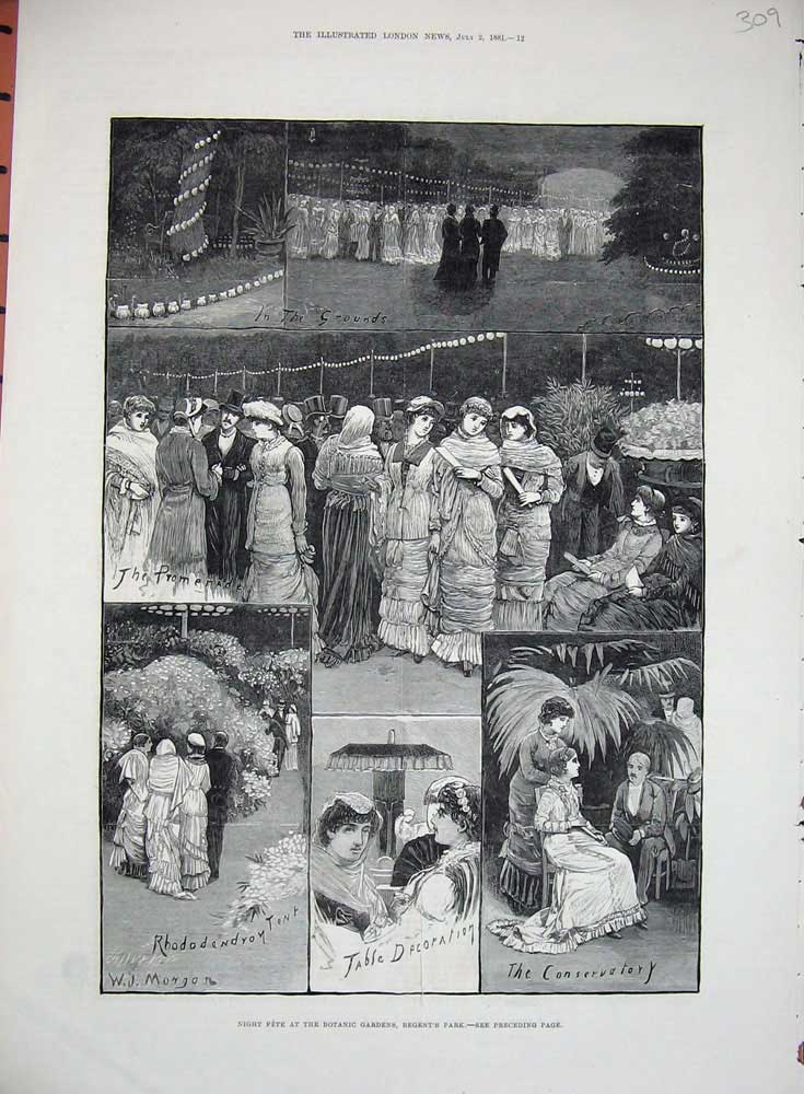 Antique Print Ref.970 1881 Night Fete Botanic Gardens Regent'S Park London