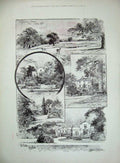 Old Antique Print 1893 Princess Maud Victoria Alexandra Wimbledon Common 19th