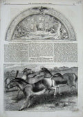 Original Old Antique Print 1859 Kiang Wild Horse Tibet Door Washington Columbus