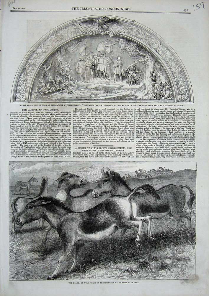 Original Old Antique Print 1859 Kiang Wild Horse Tibet Door Washington Columbus