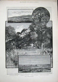Old Antique Print 1888 California America San Rafael Oak Grove Canon San 19th