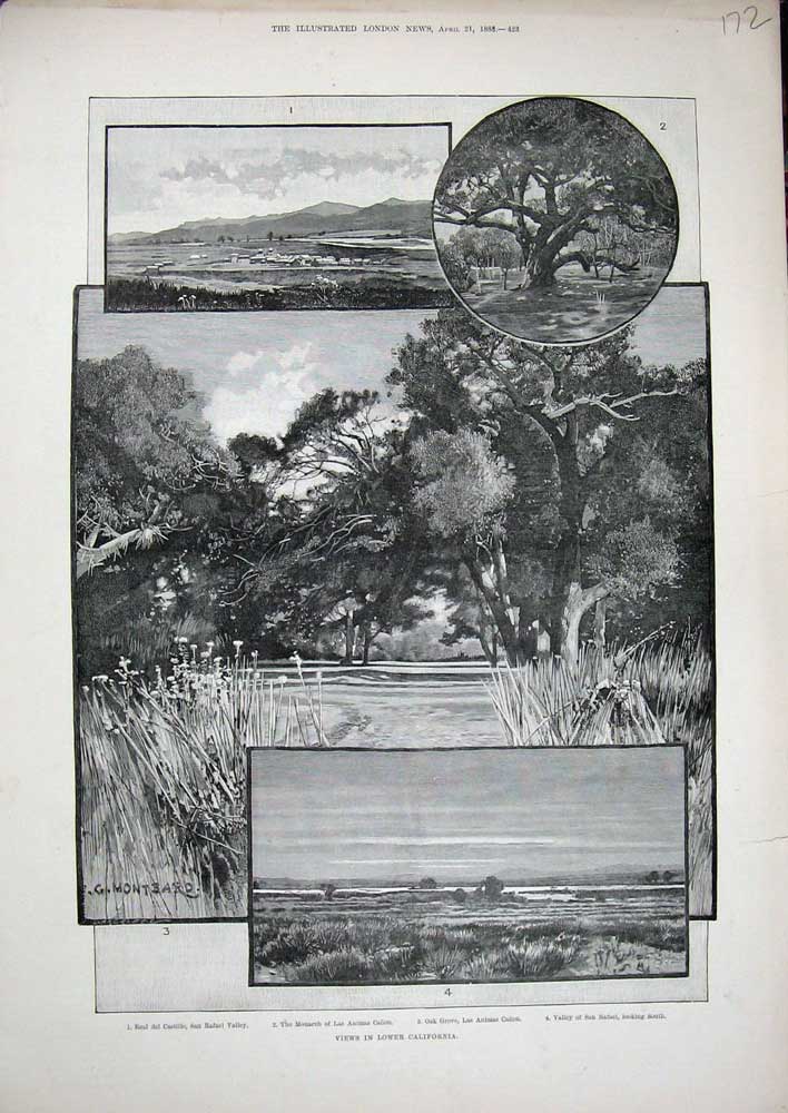Old Antique Print 1888 California America San Rafael Oak Grove Canon San 19th