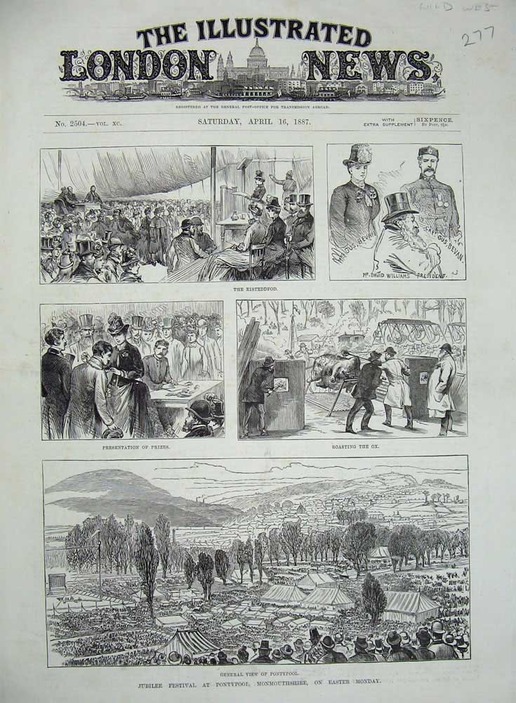Original Old Antique Print 1887 Eisteddfod Festival Monmouthshire Pontypool Ox