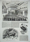 Original Old Antique Print 1844 Banquet Pottinger Manchester Toucan Moose Deer