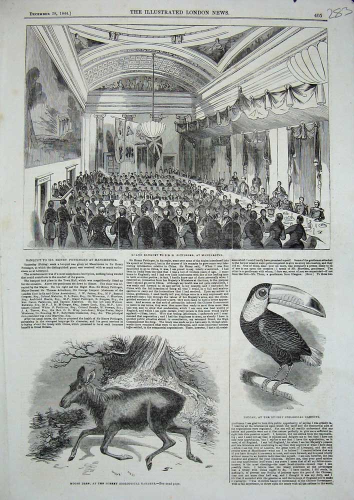 Original Old Antique Print 1844 Banquet Pottinger Manchester Toucan Moose Deer