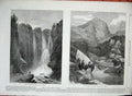 Old Antique Print 1864 Peyton Falls Alleghany Virginia Forests Brazil Art 19th