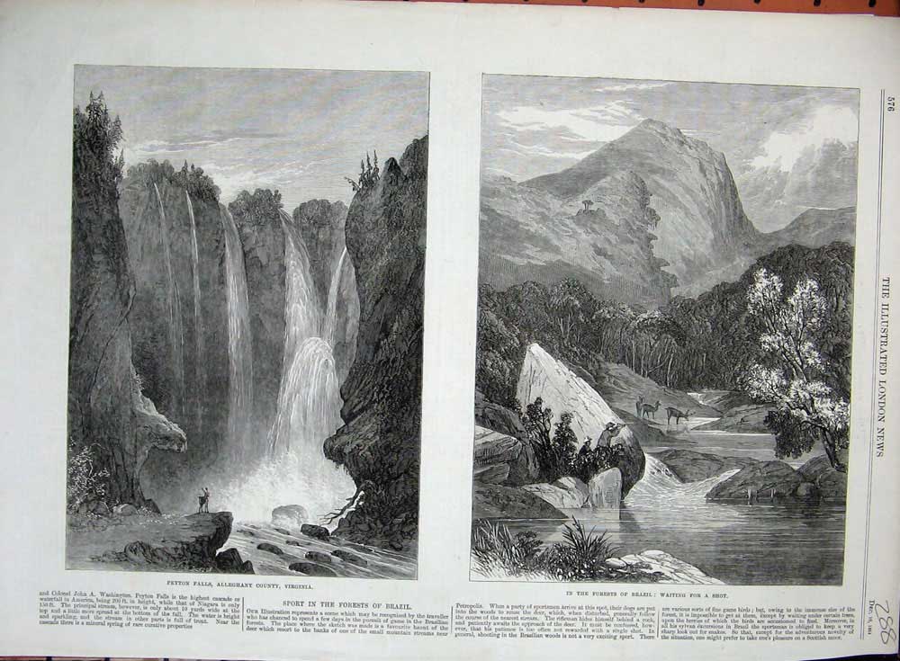 Old Antique Print 1864 Peyton Falls Alleghany Virginia Forests Brazil Art 19th