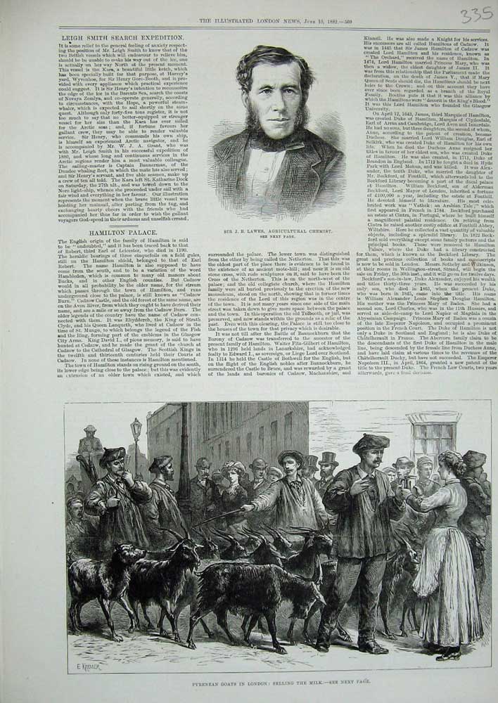 Old Antique Print 1882 Lawes Chemist Pyrenean Goats London Milk Selling 19th
