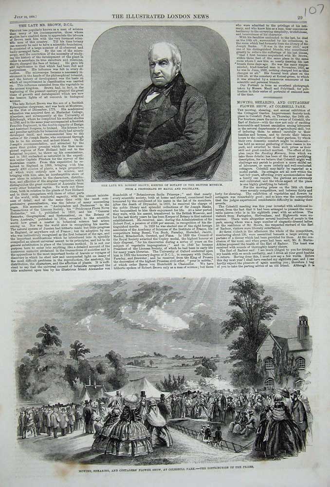 Original Old Antique Print 1858 Flower Show Coleshill Park Robert Brown Botany