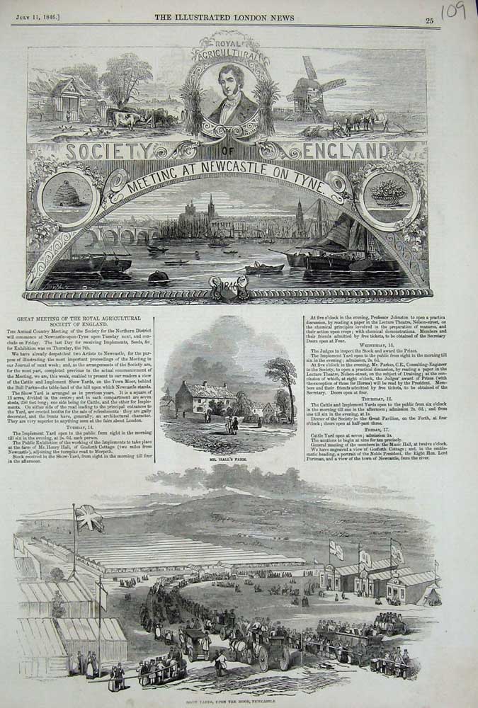 Old Antique Print 1846 Agricultural Show Newcastle-On-Tyne Yard Animals 19th