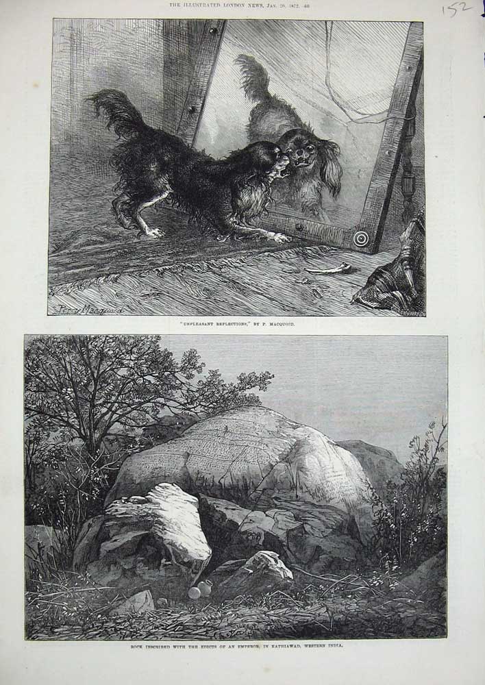 Old Antique Print 1872 Rock Edicts Kathiawad Western India Dog Mirror Art 19th