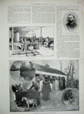 Original Old Antique Print 1897 Maceration Room Robert Houldworth Horses Home