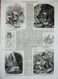 Original Old Antique Print 1861 Lalla Rookh Khorassan Ass Harrison Weir Dog