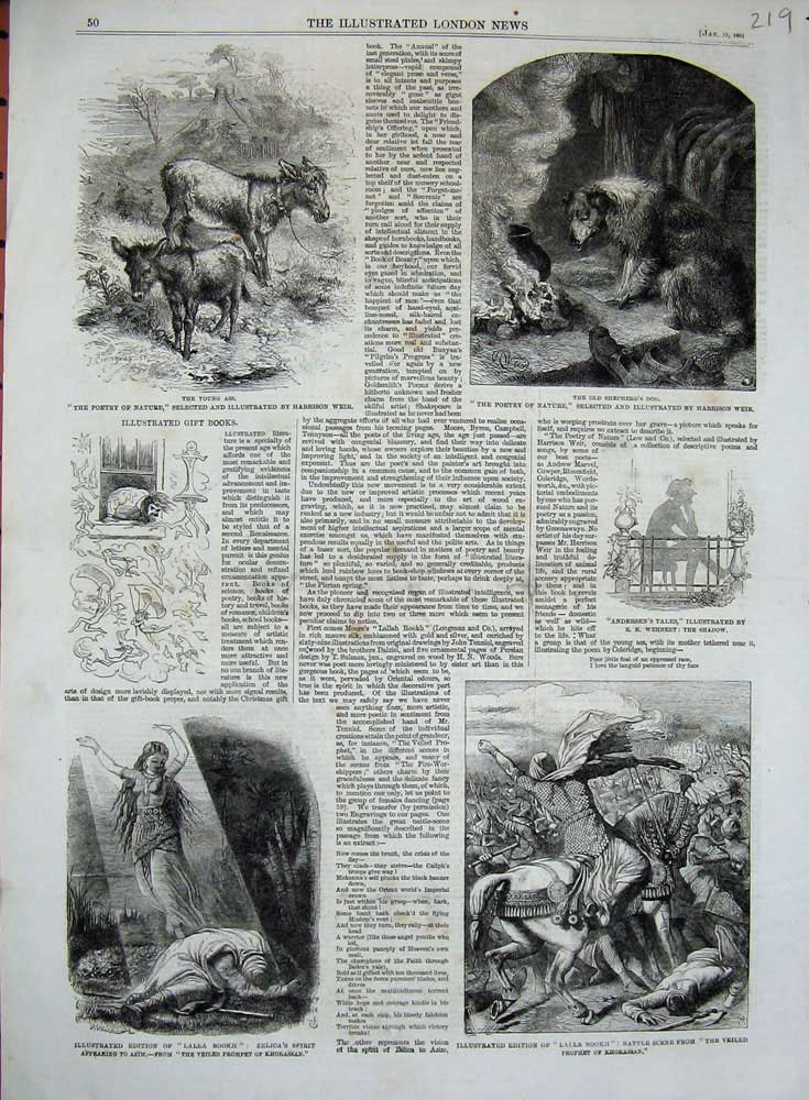 Original Old Antique Print 1861 Lalla Rookh Khorassan Ass Harrison Weir Dog