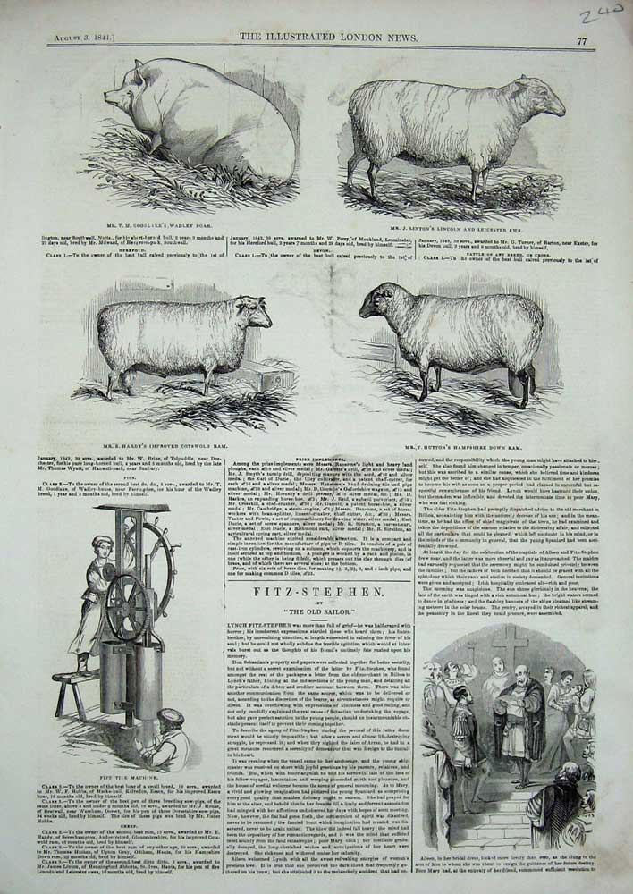 Old Antique Print 1844 Pipe Tile Machine Sheep Ram Boar Pig Ewe Animals 19th