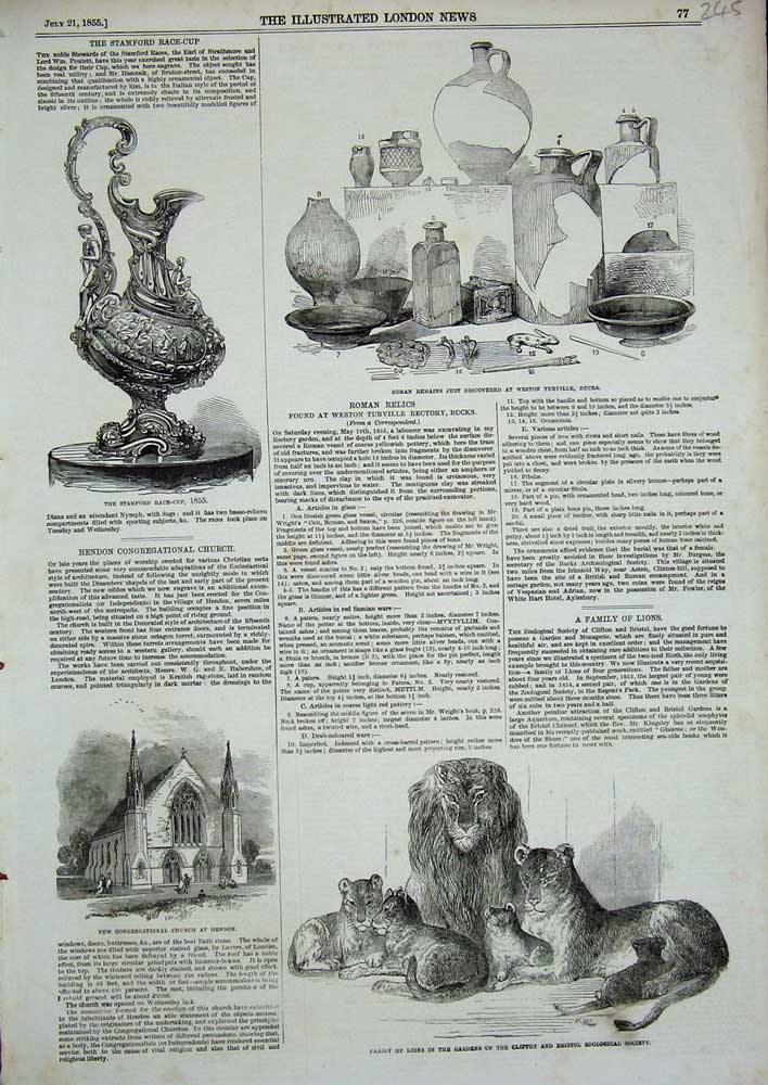 Old Antique Print 1855 Lions Clifton Bristol Zoo Church Hendon Roman Cup 19th