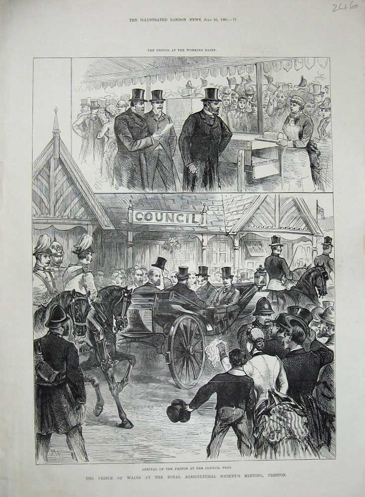 Original Old Antique Print 1885 Prince Wales Agricultural Show Preston Council