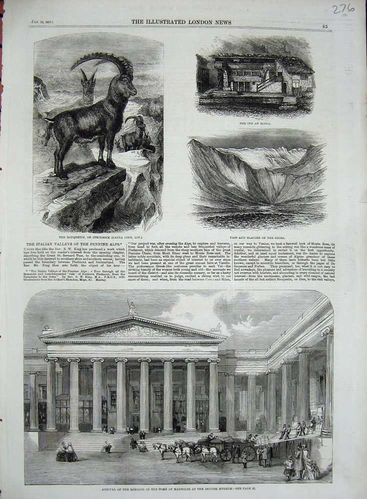 Original Old Antique Print 1859 Museum Tomb Mausolus Steinbock Inn Borca Gries