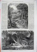 Original Old Antique Print Woodland Glade Trees 1861 Path Blackdown Surrey Art