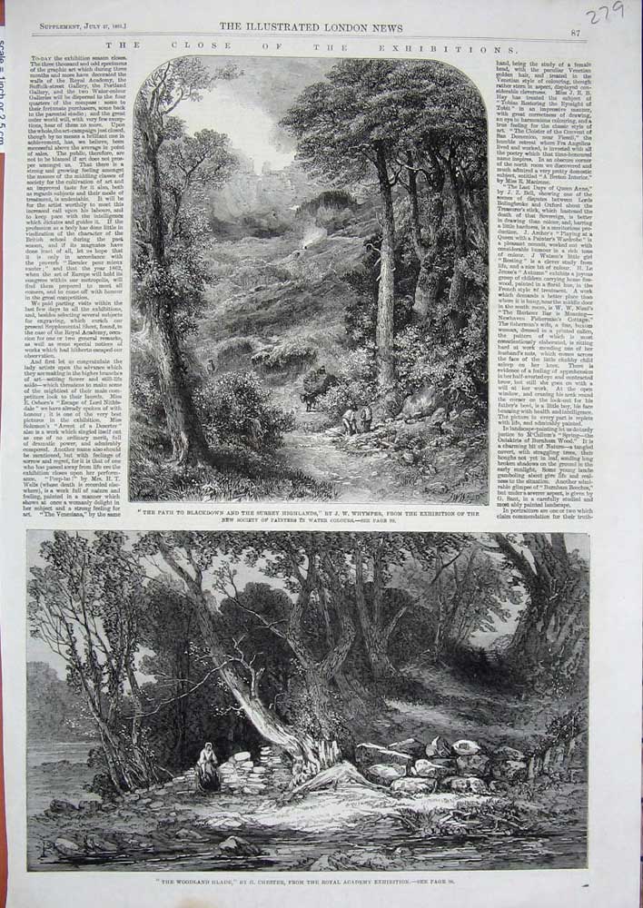 Original Old Antique Print Woodland Glade Trees 1861 Path Blackdown Surrey Art