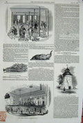 Original Old Antique Print 1844 Washington Hall Castle Derbyshire India Apples