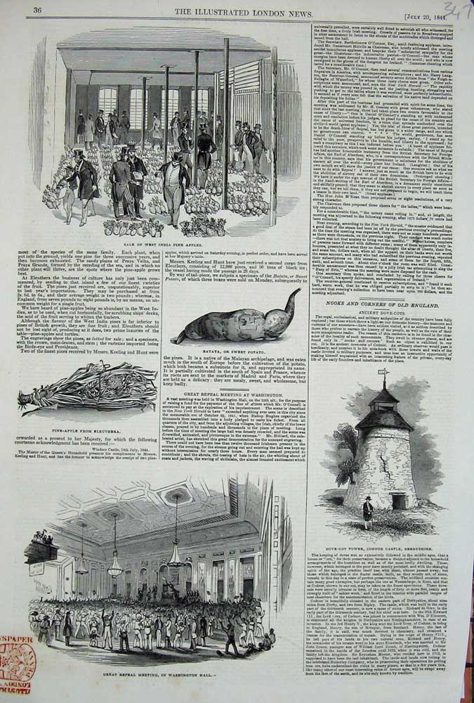 Original Old Antique Print 1844 Washington Hall Castle Derbyshire India Apples